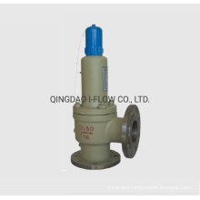 High Quality Spring Low Lift Closed Safety Valve Price